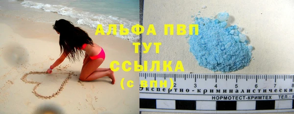 соль ск Сясьстрой