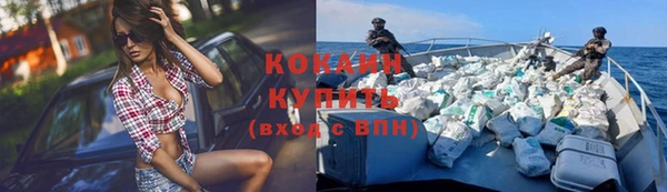 гидра Медвежьегорск