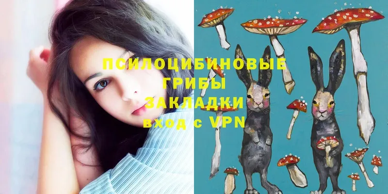 Галлюциногенные грибы MAGIC MUSHROOMS  купить наркоту  МЕГА ТОР  Алдан 