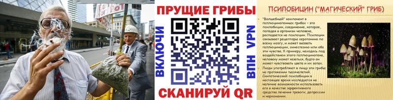 Галлюциногенные грибы ЛСД  ОМГ ОМГ сайт  Алдан 